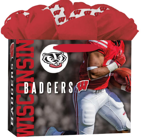 Wisconsin Gift Bag GoGo Medium