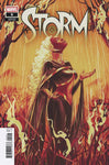 Storm Issue #9 June 2025 Variant Cover Malavia Comic Book