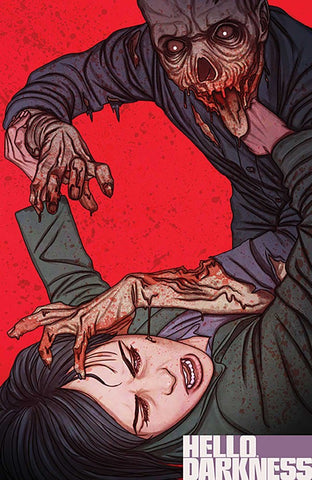 Hello Darkness Issue #5 December 2024 Variant Cover B Comic Book