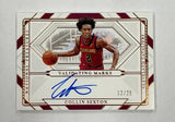 Cavaliers Collin Sexton 2020-21 Panini National Treasures No.VM-CSX #12/25 Autographed Single Card