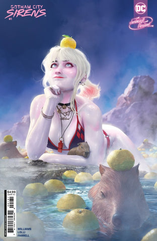 Gotham City Sirens Issue #1 August 2024 Variant Cover F Comic Book