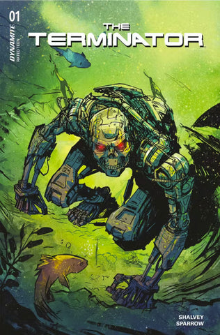 Terminator Issue #1 October 2024 Variant Cover D Comic Book