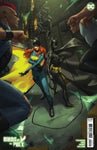 Birds of Prey Issue #9 May 2024 Variant Cover B Comic Book