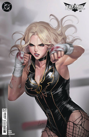 Black Canary: Best of the Best Issue #2 December 2024 Variant Cover B Comic Book