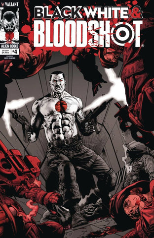 Black White & Bloodshot Issue #4 December 2024 Variant Cover B Comic Book