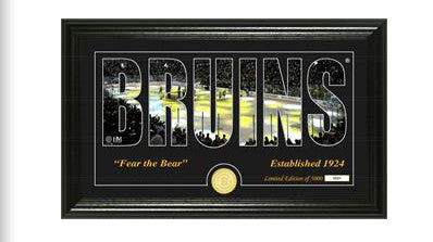 Bruins Silhouette Stadium Photo Mint Framed Picture