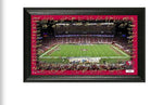 49ers Signature Photo Mint Framed Picture Stadium