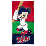 Twins Beach Towel 30" x 60" Fiber Disney