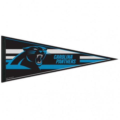 Panthers Triangle Pennant 12"x30" NFL
