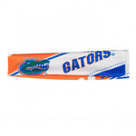 Gators Stretch Headband