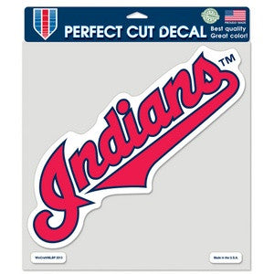 Indians 8x8 DieCut Decal Color Name