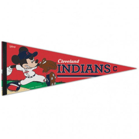 Indians Triangle Pennant Premium Rollup 12"x30" Disney