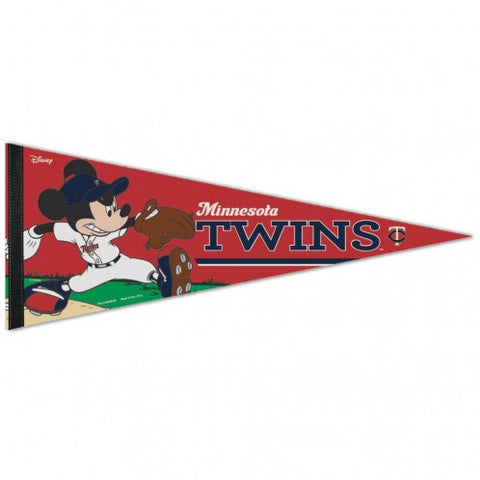 Twins Triangle Pennant Premium Rollup 12"x30" Disney