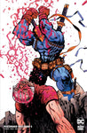 Peacemaker Tries Hard! Issue #5 September 2023 Variant Cover Comic Book