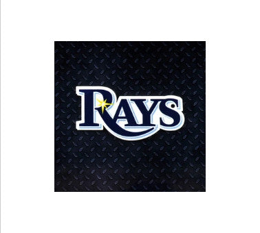 Rays Steel Magnet Logo