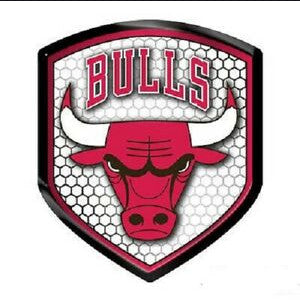 Bulls Team Reflector