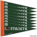 Canes 8-Pack Mini Pennant Set 4x9