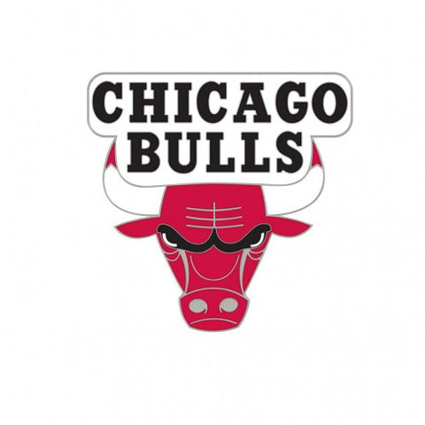 Bulls Collector Pin Logo