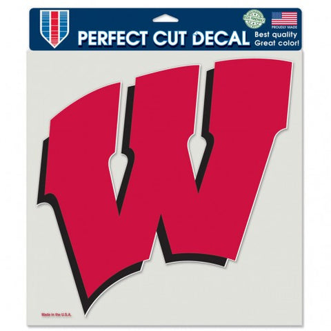 Wisconsin 8x8 DieCut Decal Color