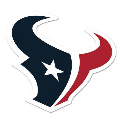 Texans Logo on the Gogo