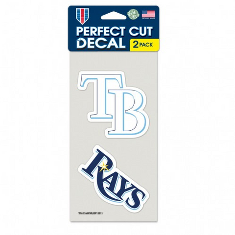 Rays 4x8 2-Pack Decal